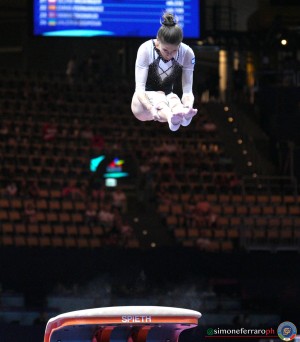 isr netzer ofir ph simone ferraro sfa01068 copia